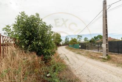 Teren de 3000 mp, în Oarja - 5