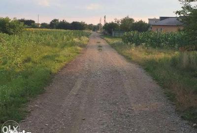 Teren de 3277 mp, în Snagov - 6