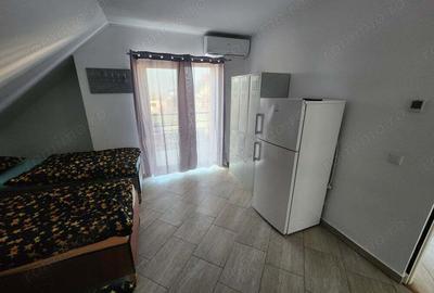 Casă cu 2 camere în Sânandrei - 2