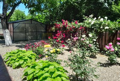 Casă cu 7 camere cu Teren 500 Mp în Central - 5