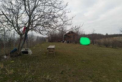 Spațiu comercial, în Copou - 7