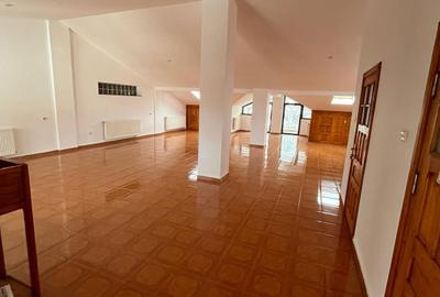 Spațiu comercial, de 130 mp, în Apollo - 1