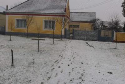 Casa de vanzare in Alio? jude?ul Timi? - 9