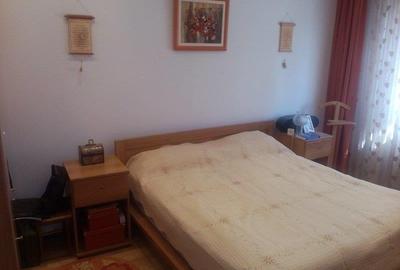 Casă individuală cu 6 camere cu Canalizare în Bucureștii Noi - 6