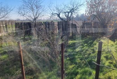 Casă cu 3 camere cu Teren 584 Mp în Brazi - 3