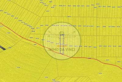 Teren de 38000 mp, în Borșa - 9