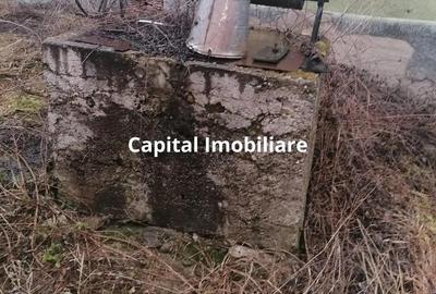 Casă cu 3 camere cu Teren 3040 Mp în Ceanu Mic - 6