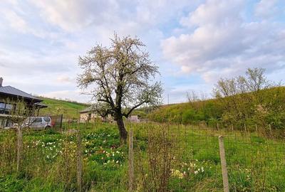 Teren de 1026 mp, în Tomești - 2
