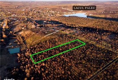 Spațiu comercial, în Paleu - 2