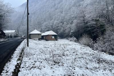 Teren de 1380 mp, în Mărtinie - 3