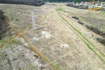 2.000mp teren, investitional, in vecinatatea padurii, Simeri - 10