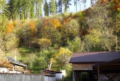 Casa individuala in Rasnov renovata complet - 2