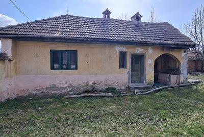 Casă cu 4 camere cu Teren 3000 Mp în Recea - 2