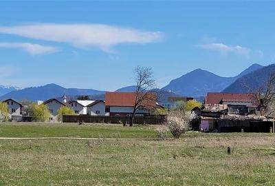 50.000mp teren intravilan, Clasa Master,  in Brasov spre Stupini - 3