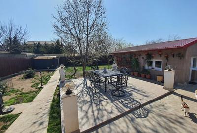 Casa de vacanta | Curte | Teren | Belciugatele | Calarasi - 15