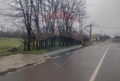 Teren agricol intravilan de 2205 mp, în Cocora - 12