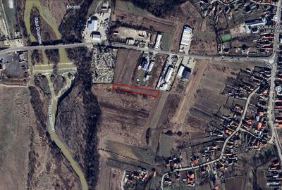 Teren de 2800 mp, în Colibași - 3