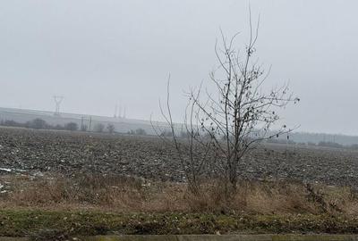 Teren de 30000 mp, în Săucești - 1