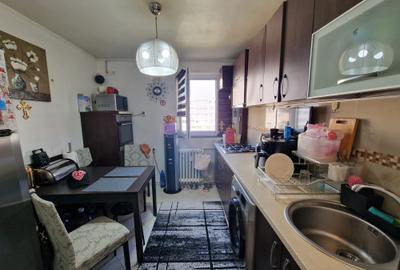 Campia Libertatii , Baba Novac , Parc IOR, renovat, mobilat complet - 13