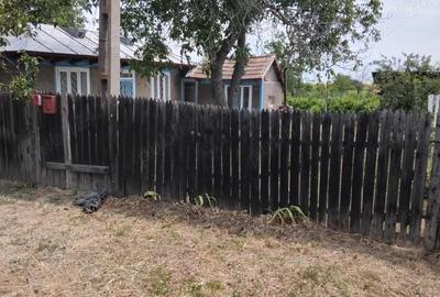 Casă cu 3 camere cu Teren 3200 Mp în Băleni - 2