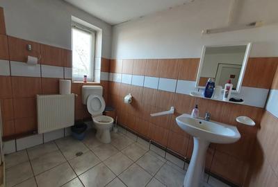 Teren de 7742 mp, în Buziașului - 2