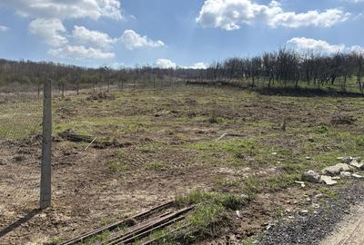 Spațiu comercial, în Vlădiceni - 5