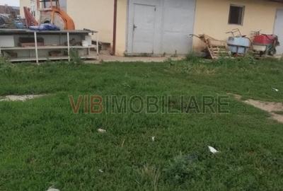 Teren de 95000 mp, în Cerneteaz - 2