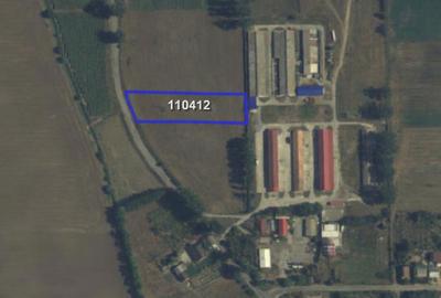 Teren de 27500 mp, în Mihail Kogălniceanu - 2