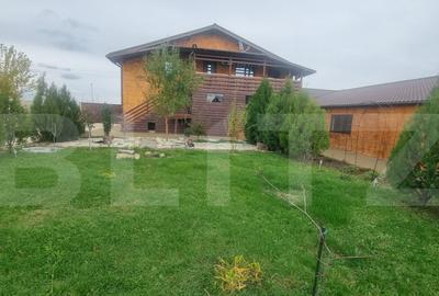 Proprietate multifunctionala,VILA,Teren 28000 mp+afacere pis - 4