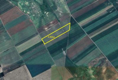 Persoana fizica - teren extravilan agricol Sipote, Jud. Iasi, 46500 mp - 5