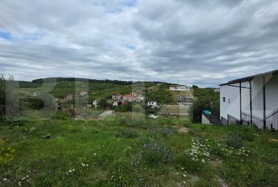 Casa cu 5 camere, 300 mp, teren 27 ari, Valea Rusului - 8