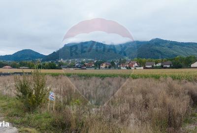 Teren de 440 mp, în Bartolomeu - 10