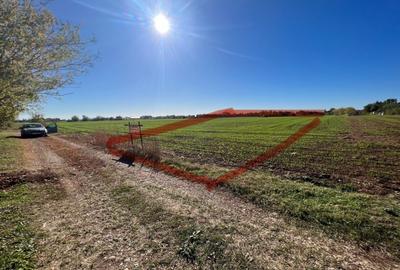TEREN INTRAVILAN  5400mp BAICOI in apropiere de DN1 - 1