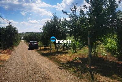 Teren intravilan de vanzare in Iasi, zona Tomesti Deal - 2