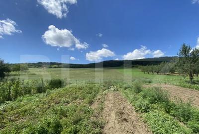 Teren de 19213 mp, în Central - 2