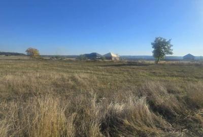 Teren 1000mp ,la intrarea in Filiasi - 1