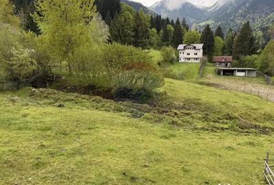 Teren de 2770 mp, în Est - 9