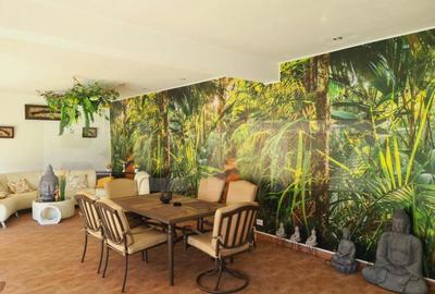 Casă cu 7 camere cu Teren 700 Mp în Central - 1