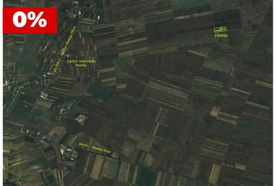 Ferma cu teren agricol de vanzare in Nadlac - 8