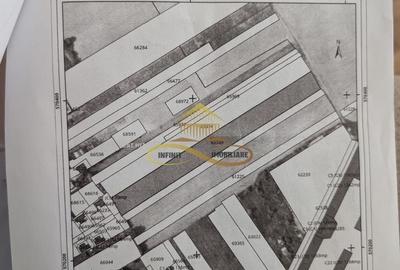 Teren agricol intravilan de 7774 mp, în Lilieci - 3