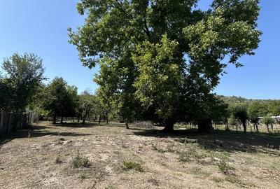 Casă cu 4 camere în Radu Negru - 14