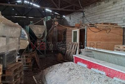 Depozit de vânzare – 392 mp construiți, Timis - Orțișoara, zonă industrială Avic - 7