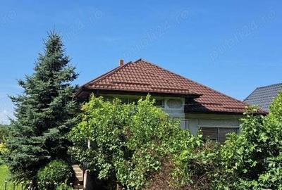 Seini casa cu 19 ari cu livada pomi si vie - 1