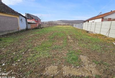 Teren intravilan (loc de casa), Com. Ineu Bihor 1186mp - 12