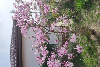 Casă cu 4 camere în Central - 3