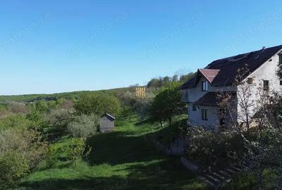 Teren 4800 mp cu Livada si Casa Nefinalizata - Adancata! - 11