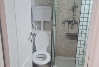 Garsonieră decomandată, mobilată în Victoriei - 5