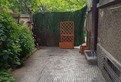 Dacia-Toamnei singur in curte - 8