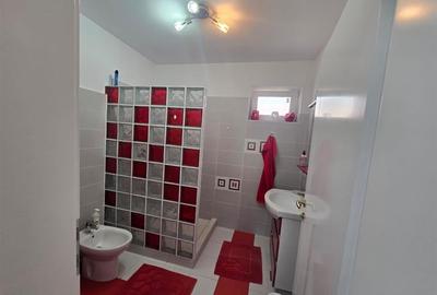 Inchiriere Vila De Lux in Tara Fagarasului Inchiriere Vila De Lux in Tara Fagarasului - 29