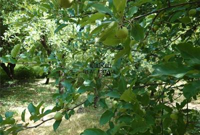 Casă cu 5 camere cu Teren 605 Mp în Central - 10